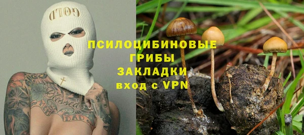 дживик Аркадак