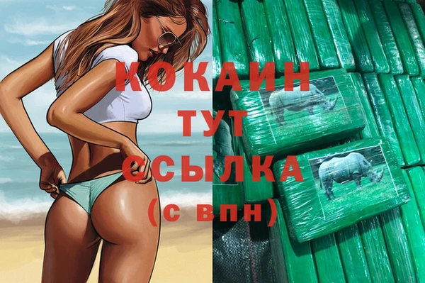 соль ск Арсеньев