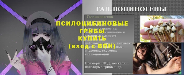 2c-b Беломорск