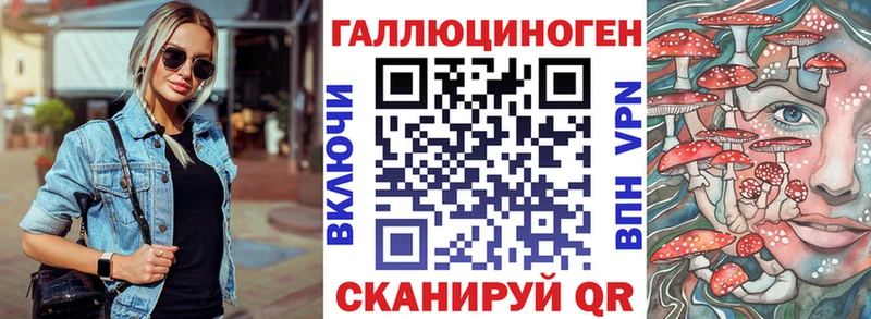 Купить  Теберда  Галлюциногенные грибы GOLDEN TEACHER 